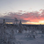 We arrange nature tours around Rovaniemi, Finland