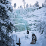 We arrange day trips from Rovaniemi to the frozen waterfalls of Korouoma