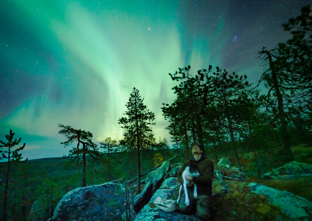 A husky under the Northern lights in Rovaniemi, Finnish Lapland