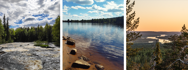 Rovaniemi summer activities - hiking, swimming and outdoor life